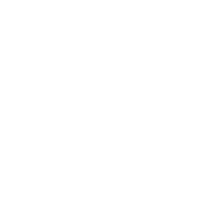 GRAPHIDAL